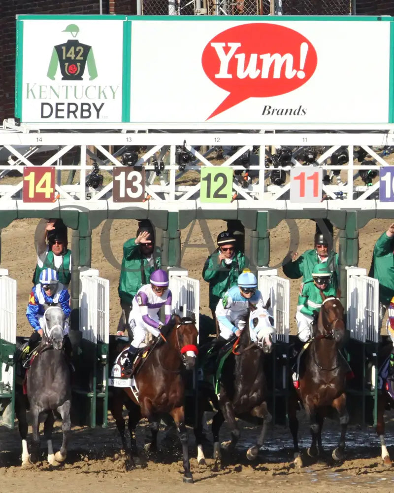 Nyquist - 050716 Race 12 Cd Start 03 Kentucky Derby