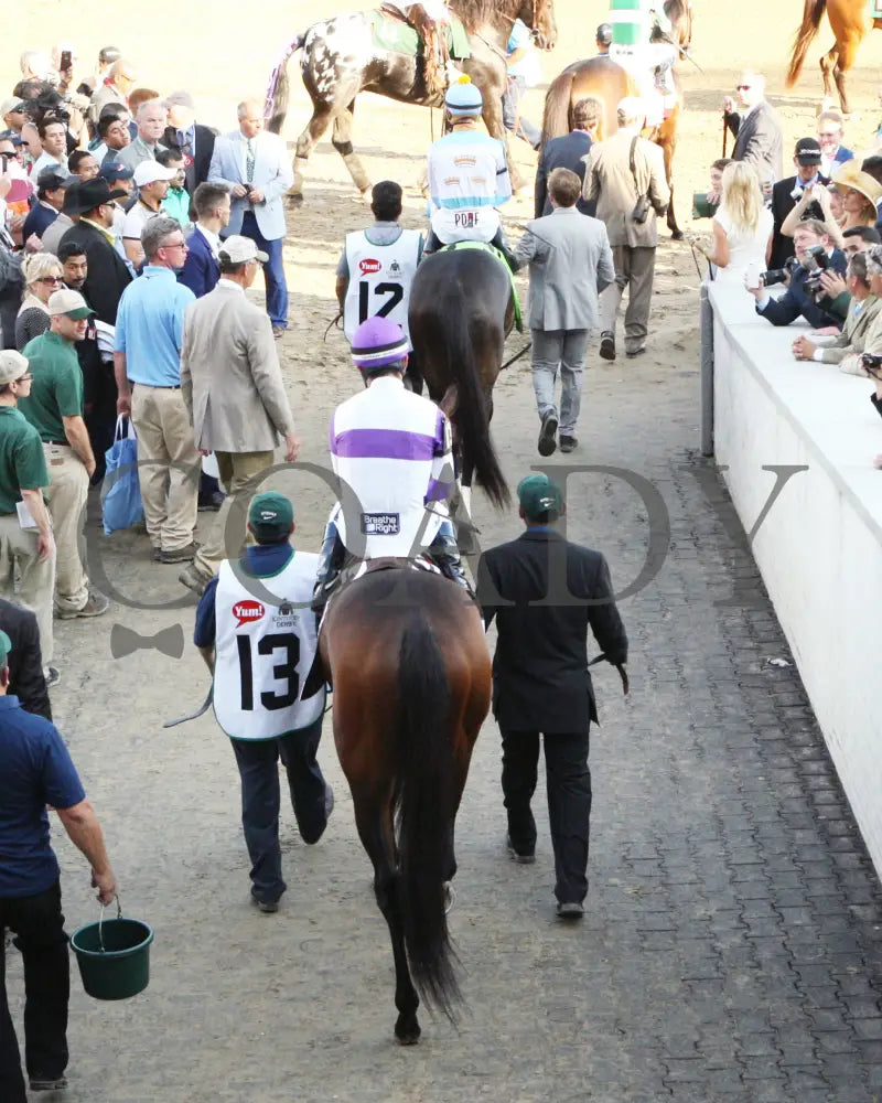 Nyquist - 050716 Race 12 Cd Tunnel 02 Kentucky Derby