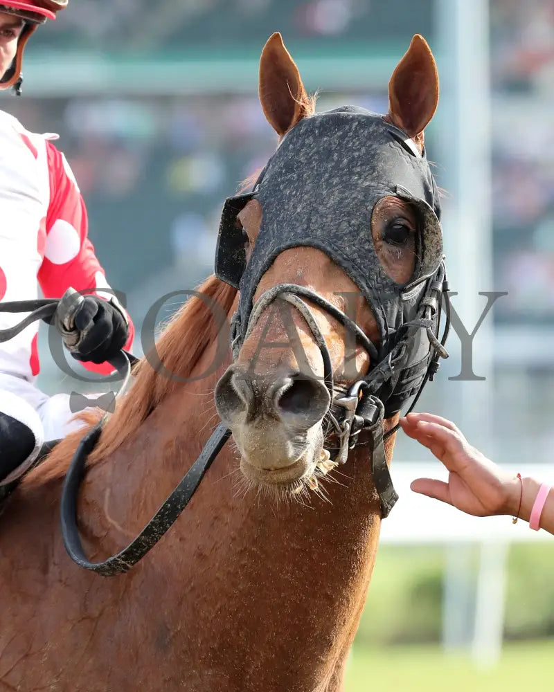 O Besos - The St. Matthews Overnight Stakes 05-02-24 R10 Cd Come Back 02 Churchill Downs