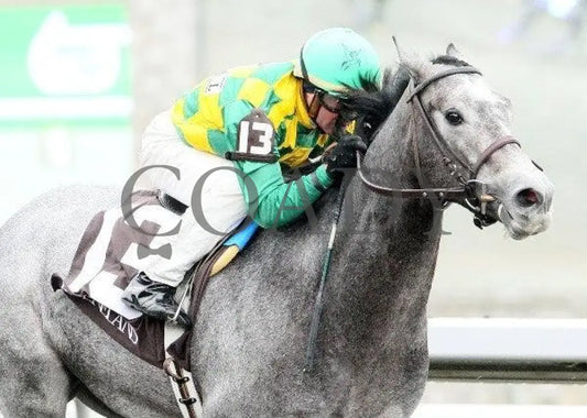 O’ Prado Again - 2 102811 Race 05 Keeneland