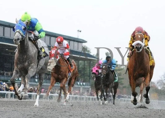 O’ Prado Again - 4 102811 Race 05 Keeneland