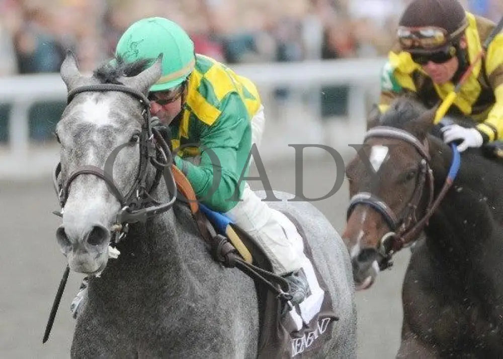 O’ Prado Again - 5 102811 Race 05 Keeneland