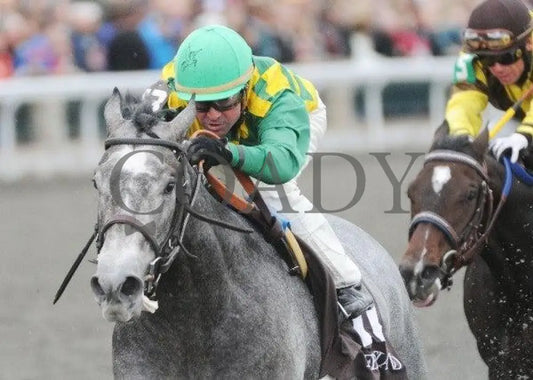 O’ Prado Again - 6 102811 Race 05 Keeneland