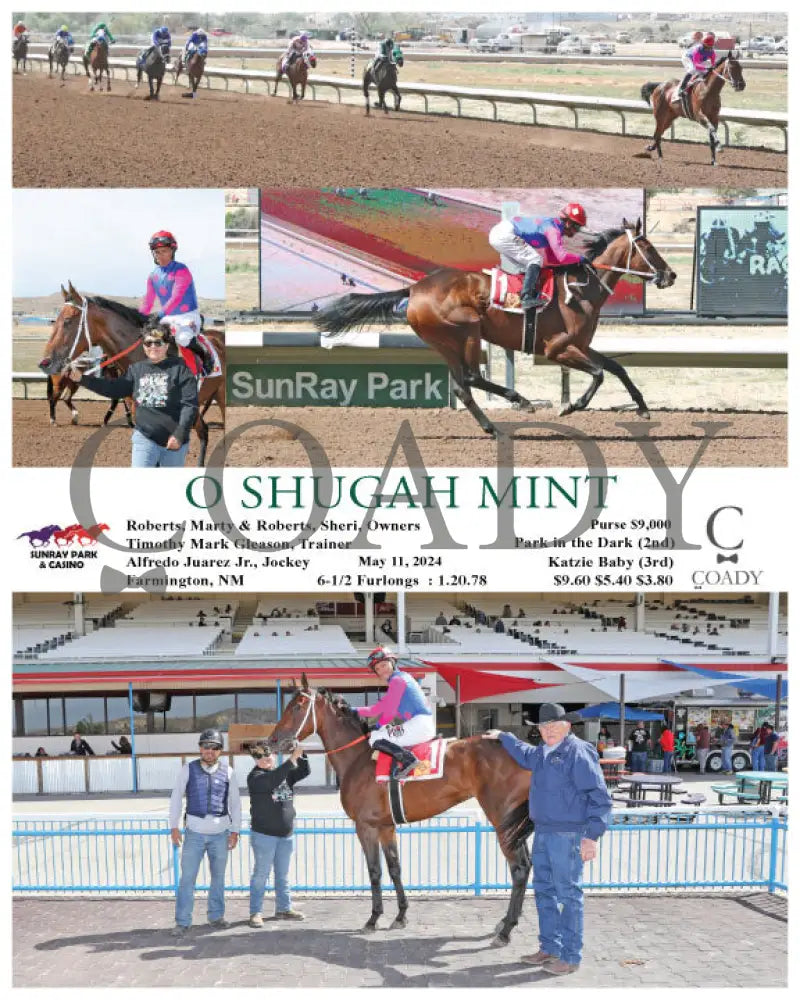 O Shugah Mint - 05-11-24 R07 Srp Sunray Park