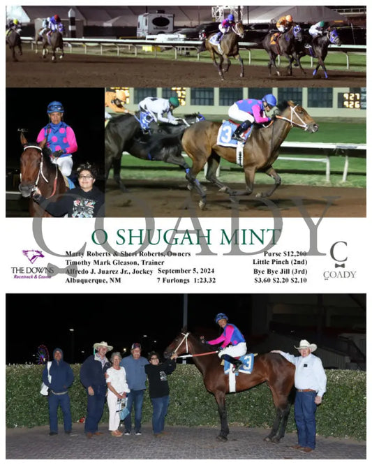 O Shugah Mint - 09-05-24 R08 Alb Downs At Albuquerque