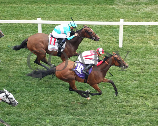 Oaklawn - New Template Oaklawn Park