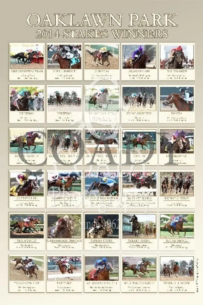Oaklawn Park 2014 Stakes Winners 24x36 Poster - Coady Media - Kurtis Coady Photography