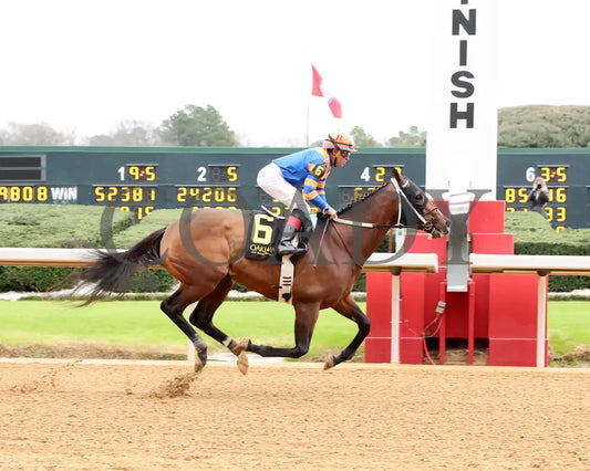 OBLITERATION - 010326 - Race 04 - OP  Renaissance Stakes - Finish 01 - Coady Media - Kurtis Coady Photography
