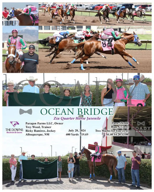 Ocean Bridge - 072824 Race 07 Alb Zia Quarter Horse Juvenile Paragon Farms Llc Owner Trey Wood