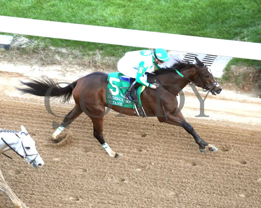 Octane - Razorback Handicap G3 65Th Running 02-24-24 R10 Op Aerial Finish 01 Oaklawn Park