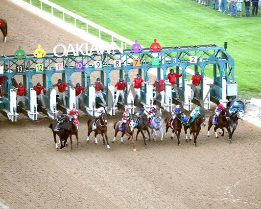 Octane - Razorback Handicap G3 65Th Running 02-24-24 R10 Op Aerial Start 01 Oaklawn Park