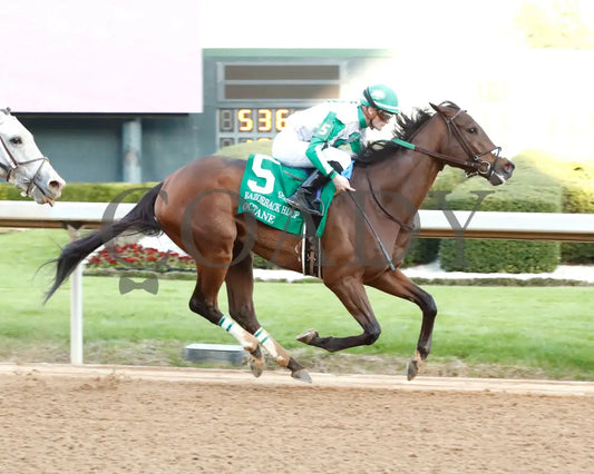 Octane - Razorback Handicap G3 65Th Running 02-24-24 R10 Op Finish 01 Oaklawn Park
