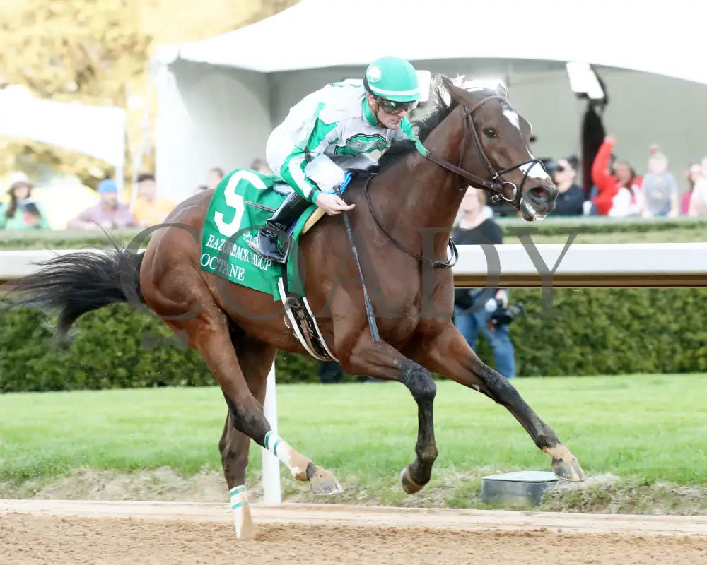 Octane - Razorback Handicap G3 65Th Running 02-24-24 R10 Op Finish 02 Oaklawn Park