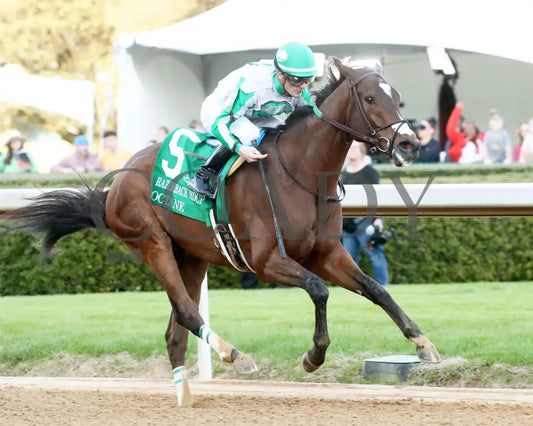 Octane - Razorback Handicap G3 65Th Running 02-24-24 R10 Op Finish 02 Oaklawn Park