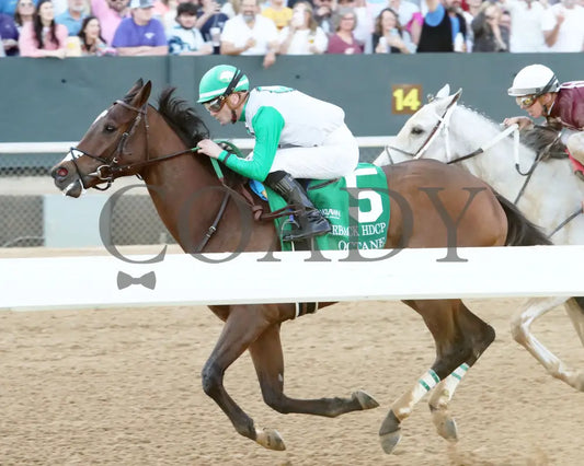 Octane - Razorback Handicap G3 65Th Running 02-24-24 R10 Op Inside Finish 01 Oaklawn Park