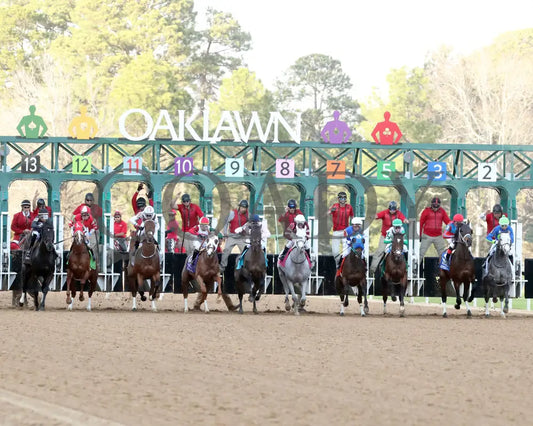 Octane - Razorback Handicap G3 65Th Running 02-24-24 R10 Op Start 01 Oaklawn Park