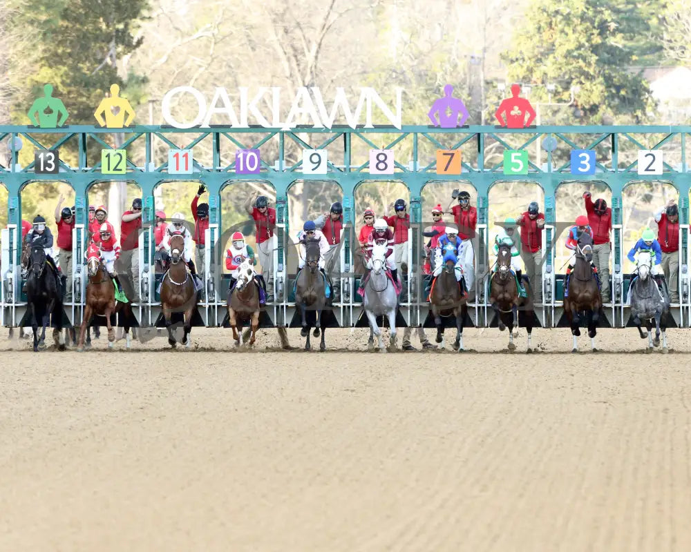 Octane - Razorback Handicap G3 65Th Running 02-24-24 R10 Op Start 03 Oaklawn Park