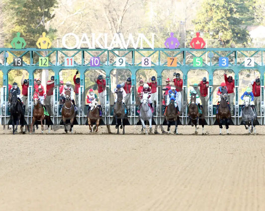 Octane - Razorback Handicap G3 65Th Running 02-24-24 R10 Op Start 03 Oaklawn Park