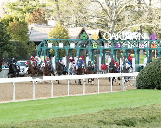 Octane - Razorback Handicap G3 65Th Running 02-24-24 R10 Op Start 02 Oaklawn Park