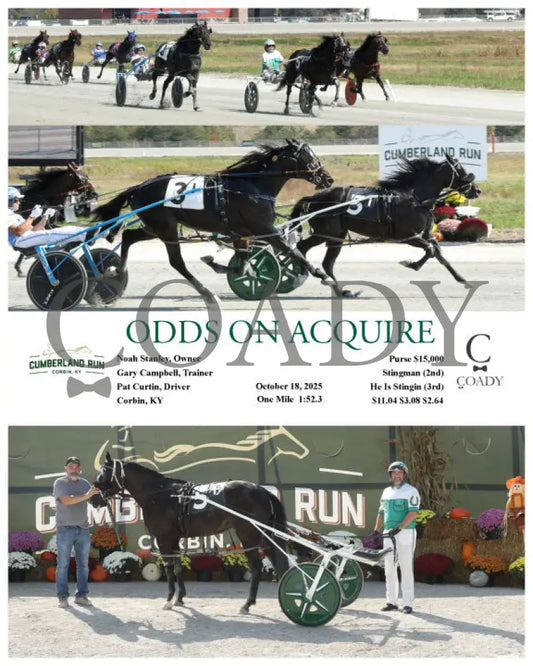 ODDS ON ACQUIRE - 101825 - Race 01 - CMR Presque Isle Downs