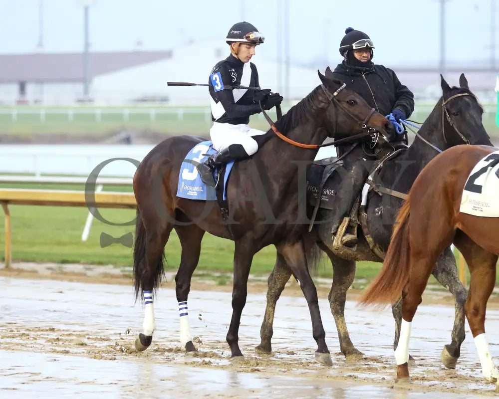 Off Pitch - 111424 Race 08 Ind Post Parade01 Indiana Grand