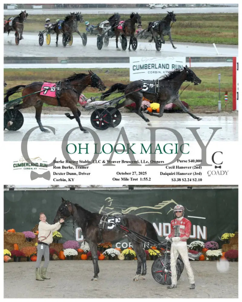 OH LOOK MAGIC - 102725 - Race 10 - CMR Presque Isle Downs
