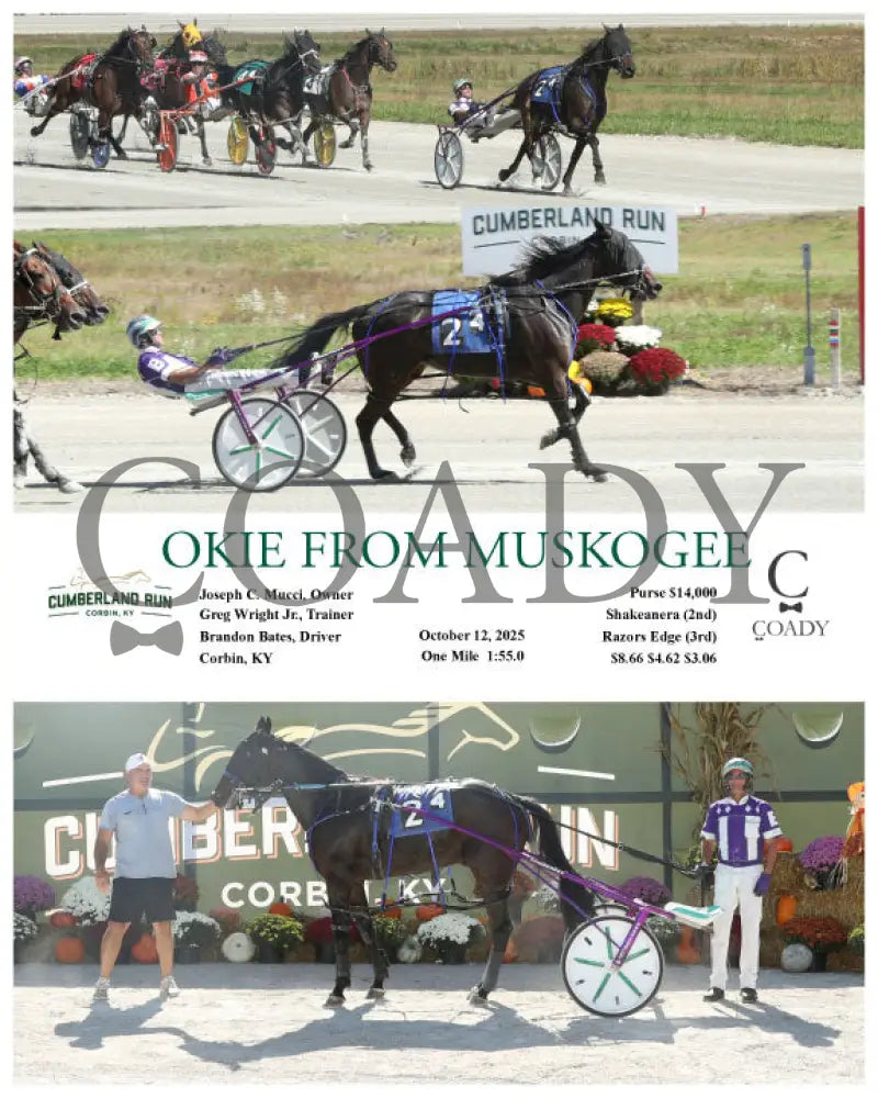 OKIE FROM MUSKOGEE - 101225 - Race 04 - CMR Presque Isle Downs