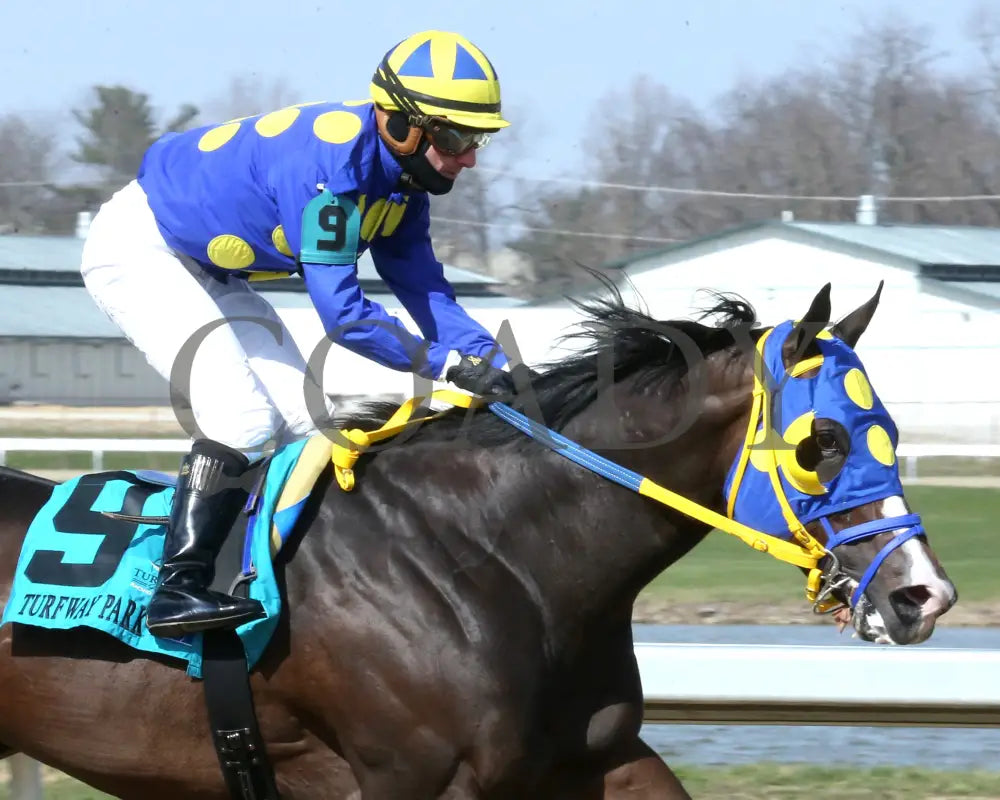 Okiro - The Animal Kingdom Stakes 38Th Running 03 - 23 - 24 R07 Turfway Park Finish 03 Paige West 01