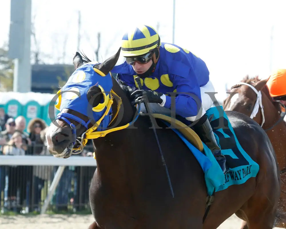 Okiro - The Animal Kingdom Stakes 38Th Running 03 - 23 - 24 R07 Turfway Park Inside Finish 01