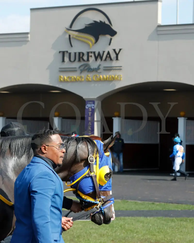 Okiro - The Animal Kingdom Stakes 38Th Running 03 - 23 - 24 R07 Turfway Park Paddock 01 Kurtis Coady