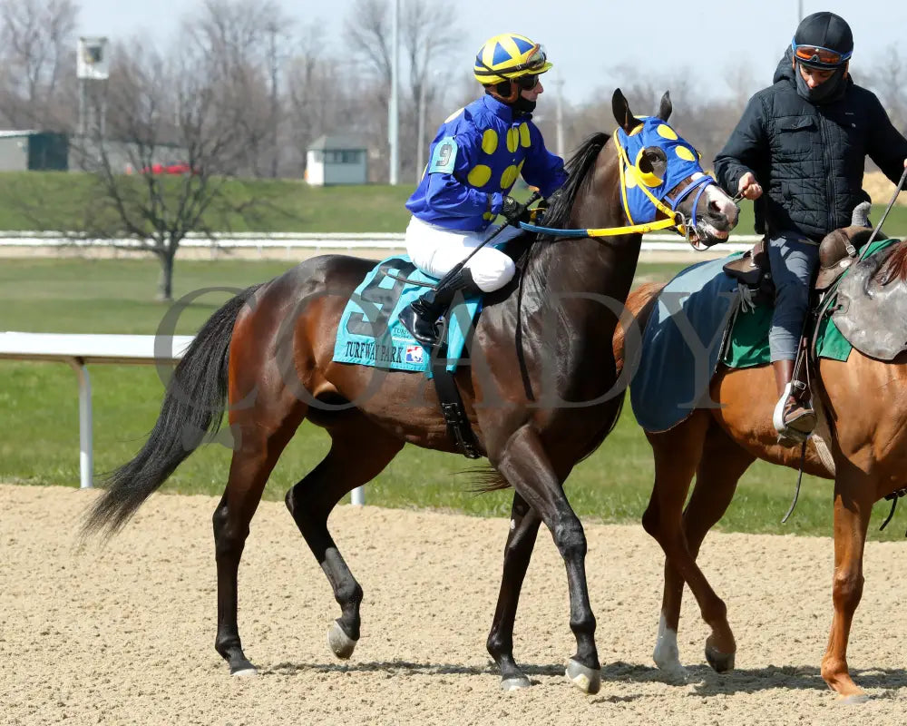 Okiro - The Animal Kingdom Stakes 38Th Running 03 - 23 - 24 R07 Turfway Park Post Parade 01 Kurtis
