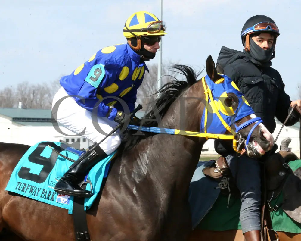 Okiro - The Animal Kingdom Stakes 38Th Running 03 - 23 - 24 R07 Turfway Park Post Parade 02 Paige