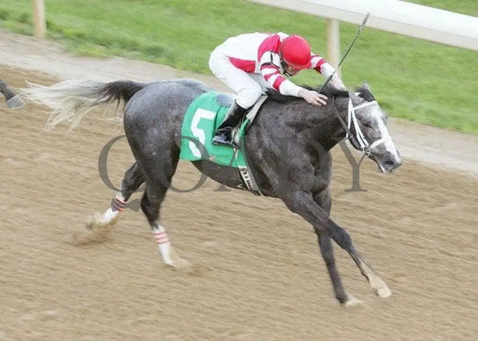 Old Fashioned - The Southwest Stakes Aerial 2 Oaklawn Park