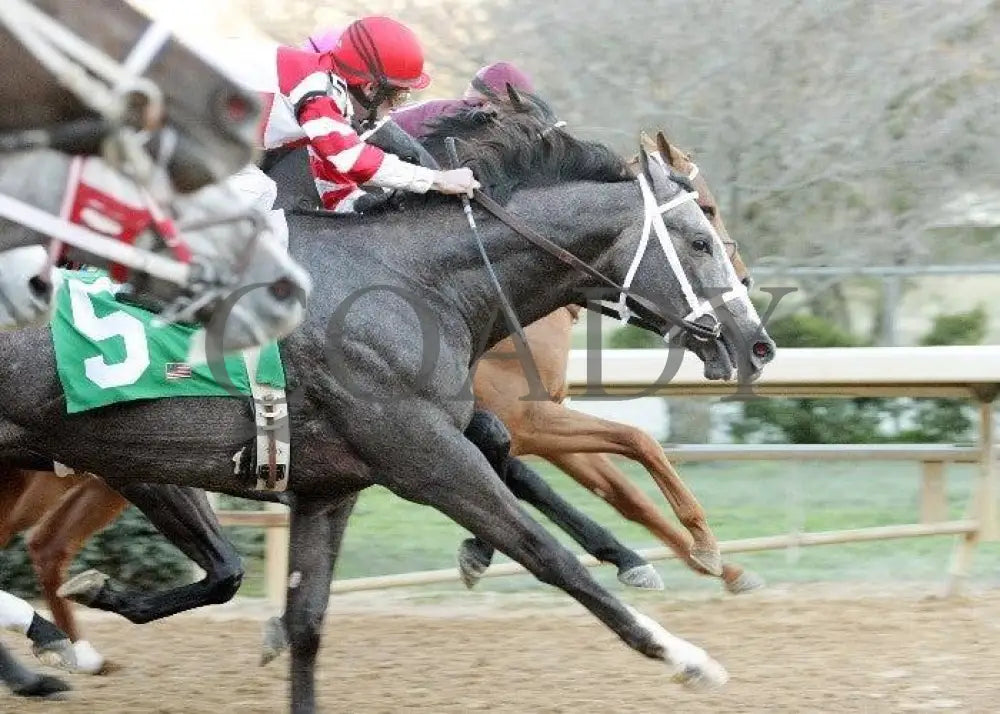 Old Fashioned - The Southwest Stakes Gate Oaklawn Park
