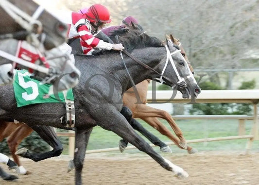 Old Fashioned - The Southwest Stakes Gate Oaklawn Park