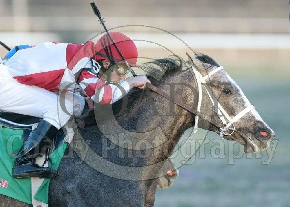 Old Fashioned - The Southwest Stakes Turn Tight Oaklawn Park