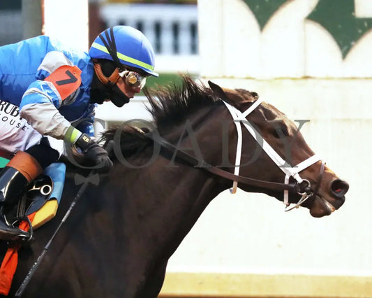 ON TIME GIRL - The Fern Creek - 11-29-25 - R08 - CD - Finish 03 - Coady Media - Kurtis Coady Photography