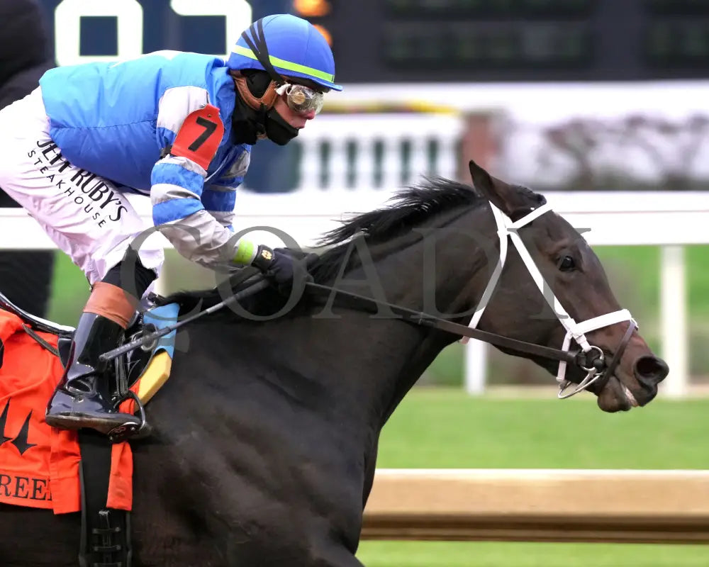 ON TIME GIRL - The Fern Creek - 11-29-25 - R08 - CD - Gallop Out 01 - Coady Media - Kurtis Coady Photography