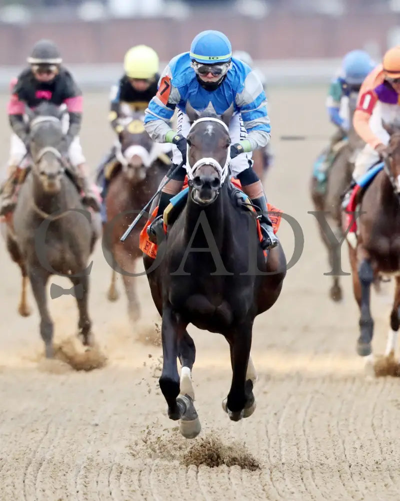 ON TIME GIRL - The Fern Creek - 11-29-25 - R08 - CD - Gallop Out 02 - Coady Media - Kurtis Coady Photography