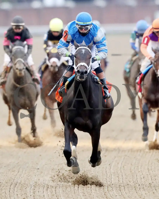 ON TIME GIRL - The Fern Creek - 11-29-25 - R08 - CD - Gallop Out 02 - Coady Media - Kurtis Coady Photography