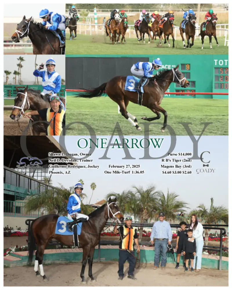 ONE ARROW - 02-27-25 - R08 - TUP Turf Paradise