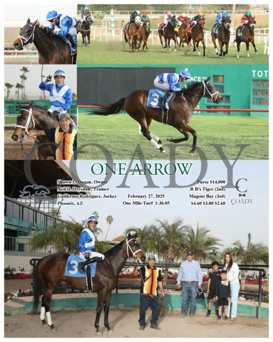 ONE ARROW - 02-27-25 - R08 - TUP Turf Paradise