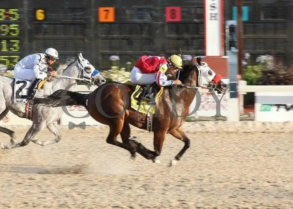 One Game Chick - Merial East Distaff Challenge Delta Downs