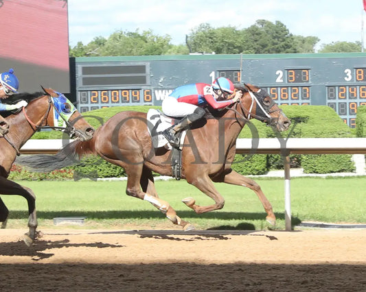 ONE TEN STADIUM - The Arkansas Breeders’ Championship Stakes - 05-03-25 - R09 - OP - Finish 01 Oaklawn Park