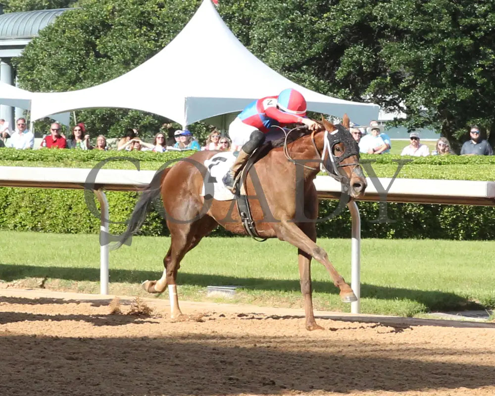 ONE TEN STADIUM - The Arkansas Breeders’ Championship Stakes - 05-03-25 - R09 - OP - Finish 03 Oaklawn Park