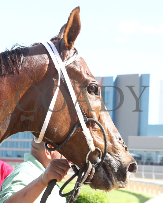 ONE TEN STADIUM - The Arkansas Breeders’ Championship Stakes - 05-03-25 - R09 - OP - Head Shot 01 Oaklawn Park