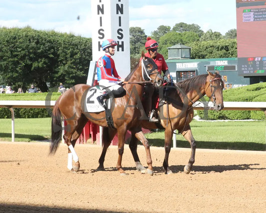 ONE TEN STADIUM - The Arkansas Breeders’ Championship Stakes - 05-03-25 - R09 - OP - Post Parade 01 Oaklawn Park