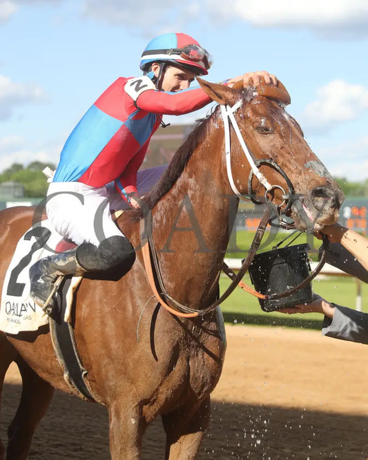 ONE TEN STADIUM - The Arkansas Breeders’ Championship Stakes - 05-03-25 - R09 - OP - Post Race 03 Oaklawn Park