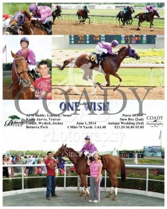 One Wish - 060114 Race 05 Btp Belterra Park