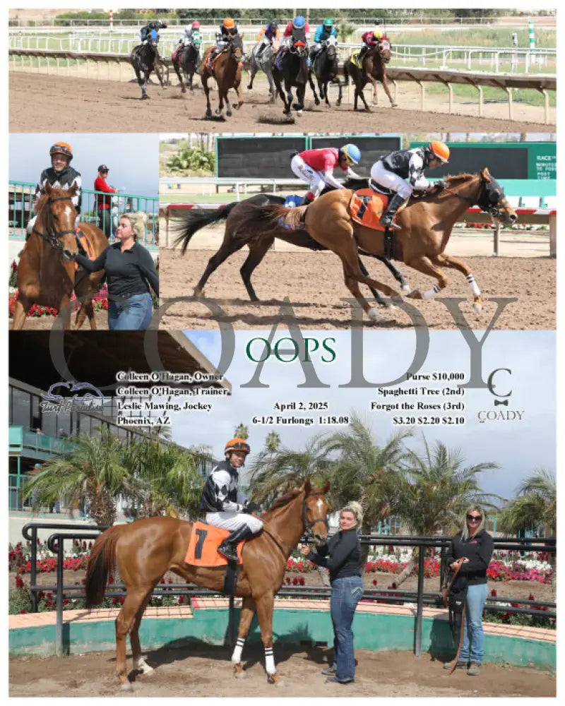 OOPS - 04-02-25 - R04 - TUP Turf Paradise